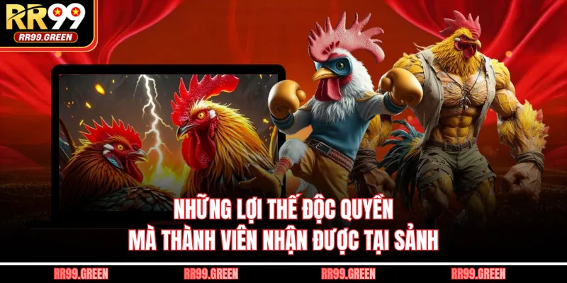 Những lợi thế độc quyền mà thành viên nhận được tại sảnh
